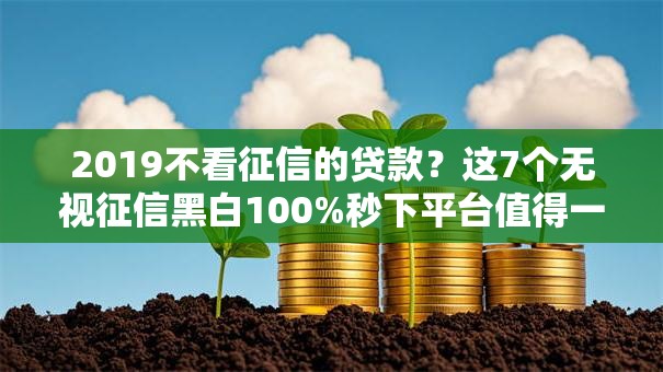 2019不看征信的贷款？这7个无视征信黑白100%秒下平台值得一试