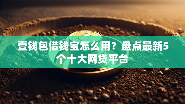 壹钱包借钱宝怎么用？盘点最新5个十大网贷平台