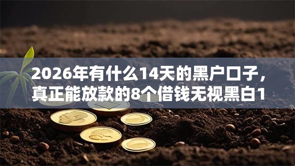 2026年有什么14天的黑户口子，真正能放款的8个借钱无视黑白100%秒下软件推荐