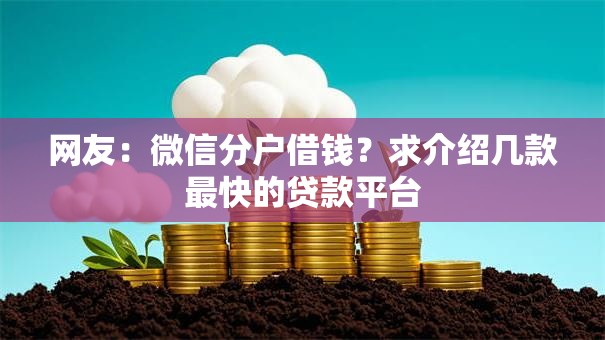 网友：微信分户借钱？求介绍几款最快的贷款平台