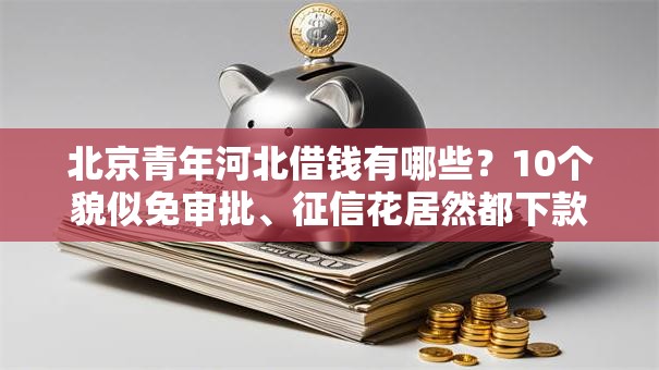 北京青年河北借钱有哪些？10个貌似免审批、征信花居然都下款的平台合集