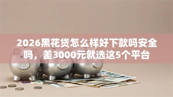 2026黑花贷怎么样好下款吗安全吗，差3000元就选这5个平台