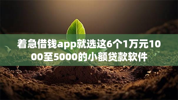 着急借钱app就选这6个1万元1000至5000的小额贷款软件 着急借钱app就选这6个1万元1000至5000的小额贷款软件