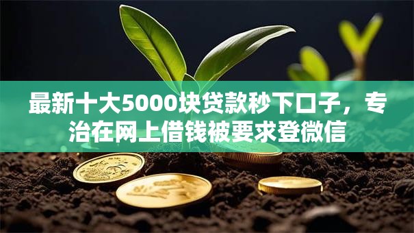 最新十大5000块贷款秒下口子，专治在网上借钱被要求登微信