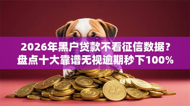 2026年黑户贷款不看征信数据？盘点十大靠谱无视逾期秒下100%款的口子