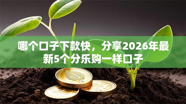 哪个口子下款快，分享2026年最新5个分乐购一样口子
