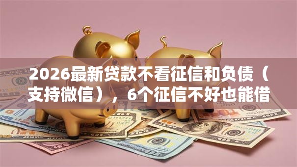 2026最新贷款不看征信和负债（支持微信），6个征信不好也能借款的平台无私分享
