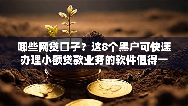 哪些网贷口子？这8个黑户可快速办理小额贷款业务的软件值得一试