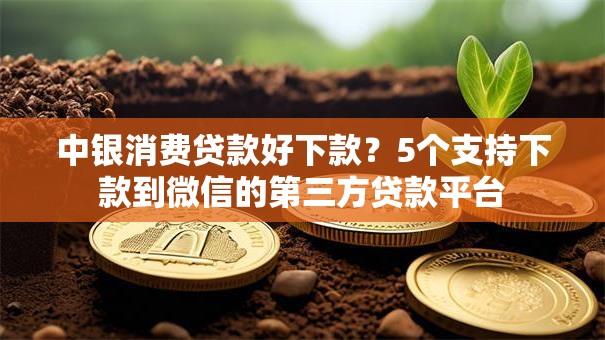 中银消费贷款好下款？5个支持下款到微信的第三方贷款平台