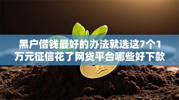 黑户借钱最好的办法就选这7个1万元征信花了网贷平台哪些好下款