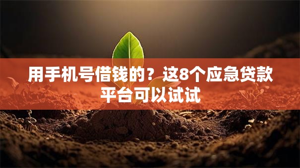 用手机号借钱的？这8个应急贷款平台可以试试