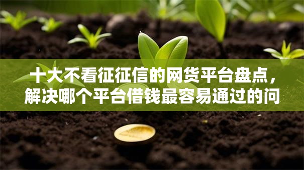 十大不看征征信的网货平台盘点，解决哪个平台借钱最容易通过的问题
