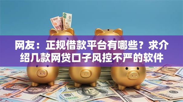 网友：正规借款平台有哪些？求介绍几款网贷口子风控不严的软件