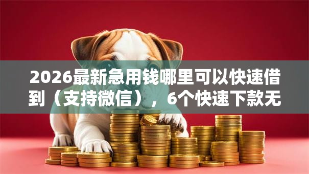 2026最新急用钱哪里可以快速借到（支持微信），6个快速下款无视征信的口子无私分享
