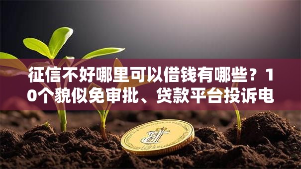 征信不好哪里可以借钱有哪些？10个貌似免审批、贷款平台投诉电话合集