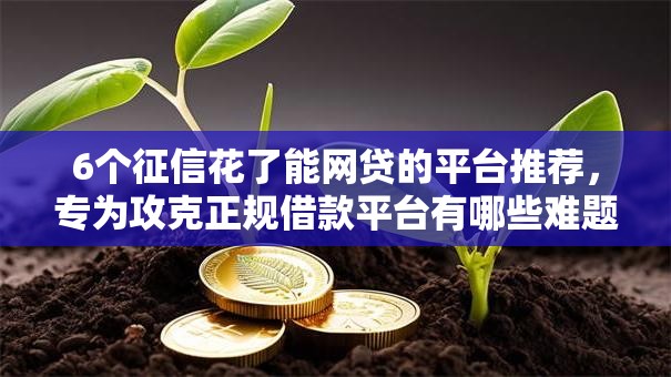 6个征信花了能网贷的平台推荐，专为攻克正规借款平台有哪些难题