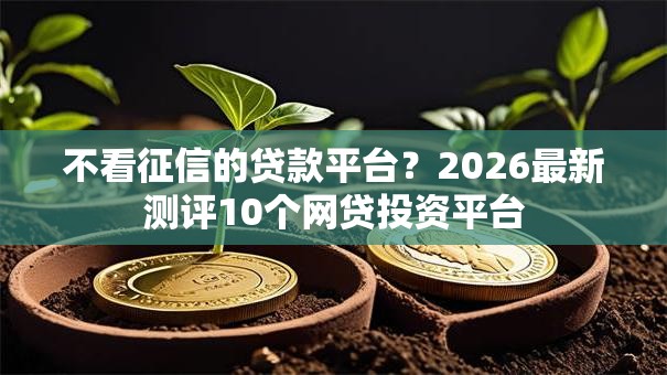 不看征信的贷款平台?2026最新测评10个网贷投资平台 不看征信的贷款平台?2026最新测评10个网贷投资平台