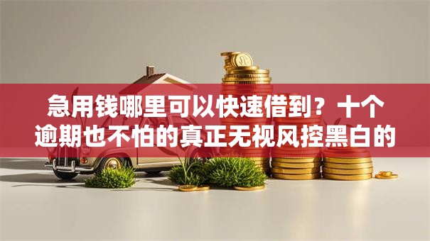 急用钱哪里可以快速借到?十个逾期也不怕的真正无视风控黑白的网贷软件 急用钱哪里可以快速借到?十个逾期也不怕的真正无视风控黑白的网贷软件