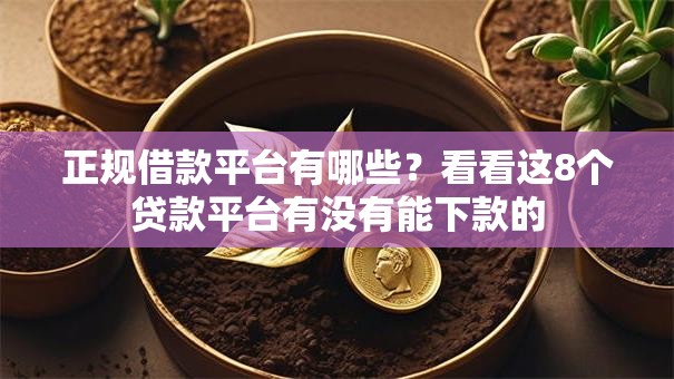 正规借款平台有哪些？看看这8个贷款平台有没有能下款的