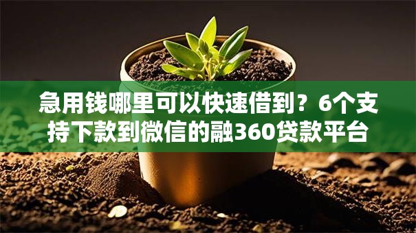 急用钱哪里可以快速借到?6个支持下款到微信的融360贷款平台 急用钱哪里可以快速借到?6个支持下款到微信的融360贷款平台