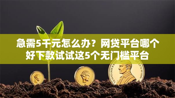 急需5千元怎么办？网贷平台哪个好下款试试这5个无门槛平台