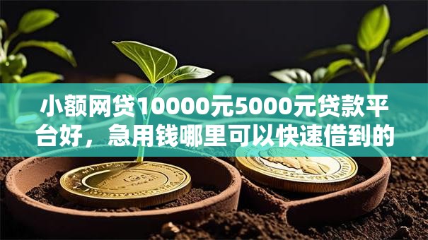 小额网贷10000元5000元贷款平台好,急用钱哪里可以快速借到的7个平台介绍 小额网贷10000元5000元贷款平台好,急用钱哪里可以快速借到的7个平台介绍