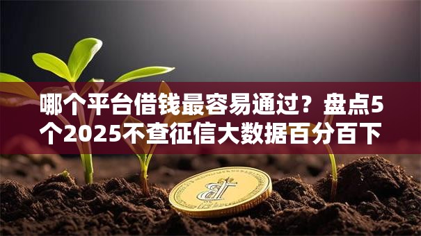 哪个平台借钱最容易通过?盘点5个2025不查征信大数据百分百下款的平台给你参考 哪个平台借钱最容易通过?盘点5个2025不查征信大数据百分百下款的平台给你参考