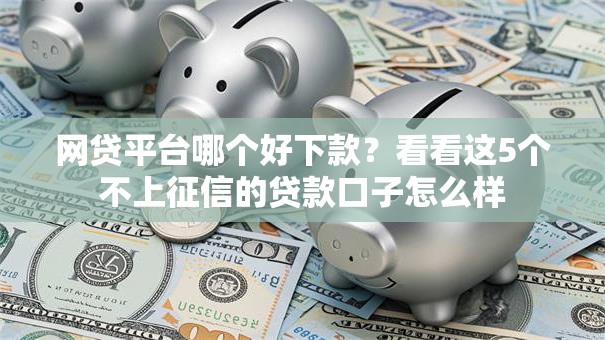 网贷平台哪个好下款?看看这5个不上征信的贷款口子怎么样 网贷平台哪个好下款?看看这5个不上征信的贷款口子怎么样