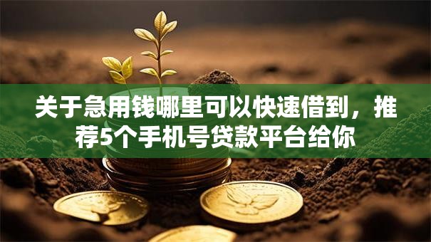 关于急用钱哪里可以快速借到,推荐5个手机号贷款平台给你 关于急用钱哪里可以快速借到,推荐5个手机号贷款平台给你