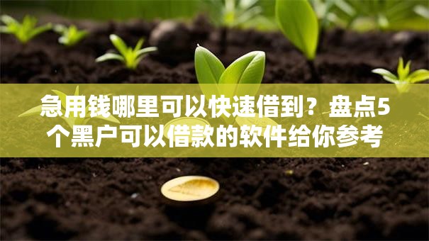 急用钱哪里可以快速借到?盘点5个黑户可以借款的软件给你参考 急用钱哪里可以快速借到?盘点5个黑户可以借款的软件给你参考