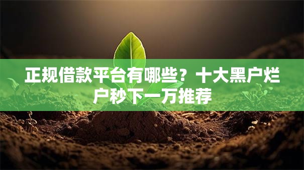 正规借款平台有哪些?十大黑户烂户秒下一万推荐 正规借款平台有哪些?十大黑户烂户秒下一万推荐