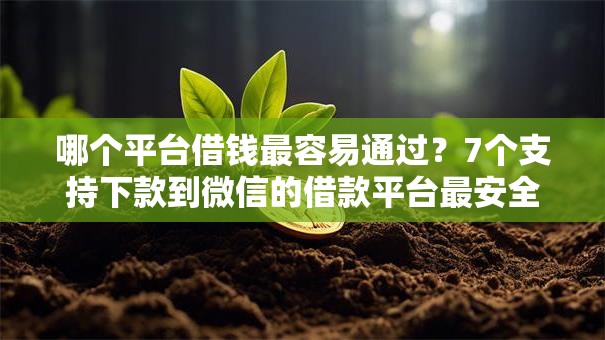 哪个平台借钱最容易通过?7个支持下款到微信的借款平台最安全可靠利息低 哪个平台借钱最容易通过?7个支持下款到微信的借款平台最安全可靠利息低