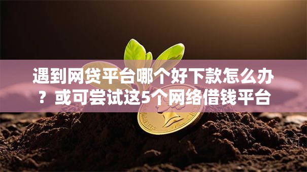 遇到网贷平台哪个好下款怎么办?或可尝试这5个网络借钱平台 遇到网贷平台哪个好下款怎么办?或可尝试这5个网络借钱平台