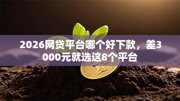 2026网贷平台哪个好下款,差3000元就选这8个平台 2026网贷平台哪个好下款,差3000元就选这8个平台