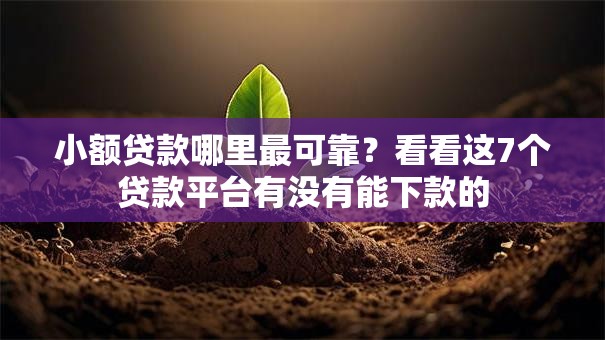 小额贷款哪里最可靠?看看这7个贷款平台有没有能下款的 小额贷款哪里最可靠?看看这7个贷款平台有没有能下款的