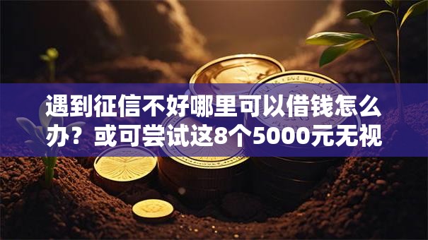 遇到征信不好哪里可以借钱怎么办?或可尝试这8个5000元无视一切必下款的口子 遇到征信不好哪里可以借钱怎么办?或可尝试这8个5000元无视一切必下款的口子