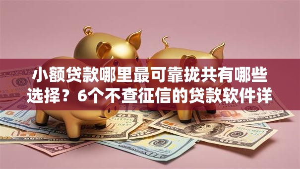 小额贷款哪里最可靠拢共有哪些选择?6个不查征信的贷款软件详解 小额贷款哪里最可靠拢共有哪些选择?6个不查征信的贷款软件详解
