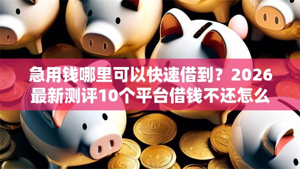急用钱哪里可以快速借到?2026最新测评10个平台借钱不还怎么处理 急用钱哪里可以快速借到?2026最新测评10个平台借钱不还怎么处理