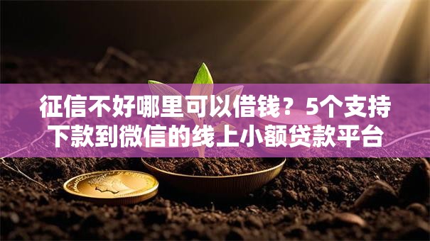 征信不好哪里可以借钱?5个支持下款到微信的线上小额贷款平台 征信不好哪里可以借钱?5个支持下款到微信的线上小额贷款平台