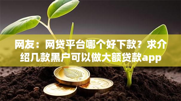 网友：网贷平台哪个好下款？求介绍几款黑户可以做大额贷款app