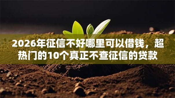 2026年征信不好哪里可以借钱,超热门的10个真正不查征信的贷款软件推荐 2026年征信不好哪里可以借钱,超热门的10个真正不查征信的贷款软件推荐
