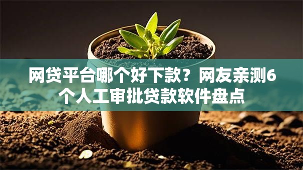 网贷平台哪个好下款？网友亲测6个人工审批贷款软件盘点