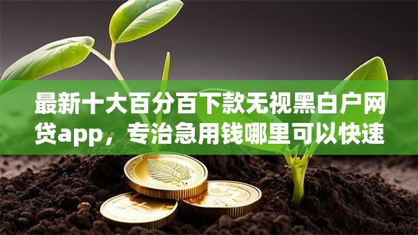 最新十大百分百下款无视黑白户网贷app,专治急用钱哪里可以快速借到 最新十大百分百下款无视黑白户网贷app,专治急用钱哪里可以快速借到