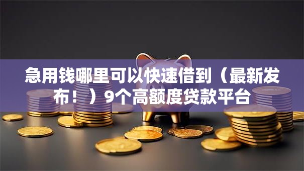 急用钱哪里可以快速借到(最新发布!)9个高额度贷款平台 急用钱哪里可以快速借到(最新发布!)9个高额度贷款平台