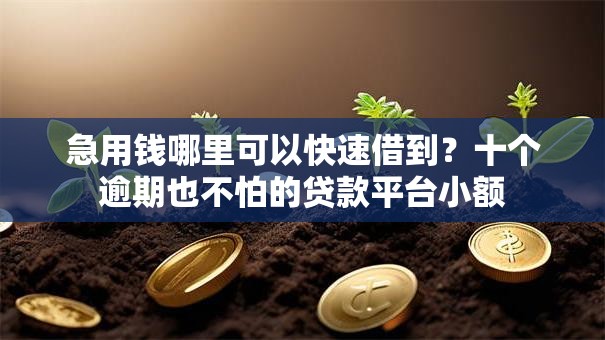 急用钱哪里可以快速借到?十个逾期也不怕的贷款平台小额 急用钱哪里可以快速借到?十个逾期也不怕的贷款平台小额