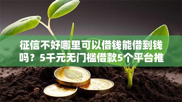 征信不好哪里可以借钱能借到钱吗?5千元无门槛借款5个平台推荐 征信不好哪里可以借钱能借到钱吗?5千元无门槛借款5个平台推荐