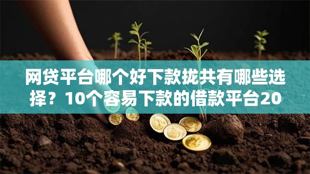 网贷平台哪个好下款拢共有哪些选择?10个容易下款的借款平台2025详解 网贷平台哪个好下款拢共有哪些选择?10个容易下款的借款平台2025详解