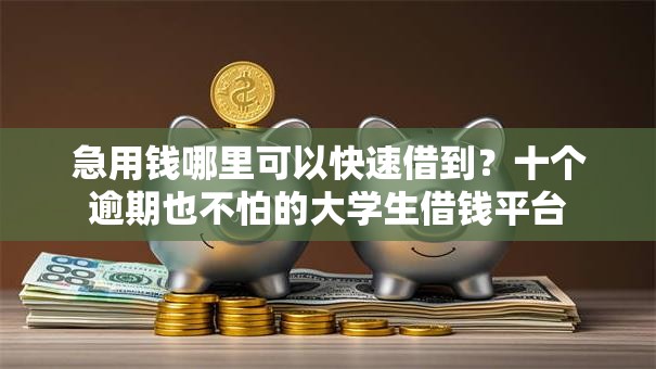 急用钱哪里可以快速借到?十个逾期也不怕的大学生借钱平台 急用钱哪里可以快速借到?十个逾期也不怕的大学生借钱平台