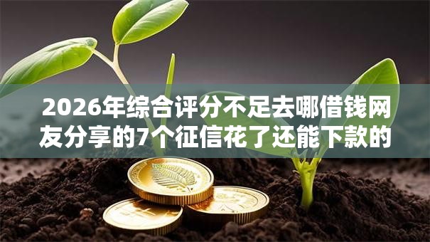 2026年综合评分不足去哪借钱网友分享的7个征信花了还能下款的几千小额度平台我觉得不错! 2026年综合评分不足去哪借钱网友分享的7个征信花了还能下款的几千小额度平台我觉得不错!