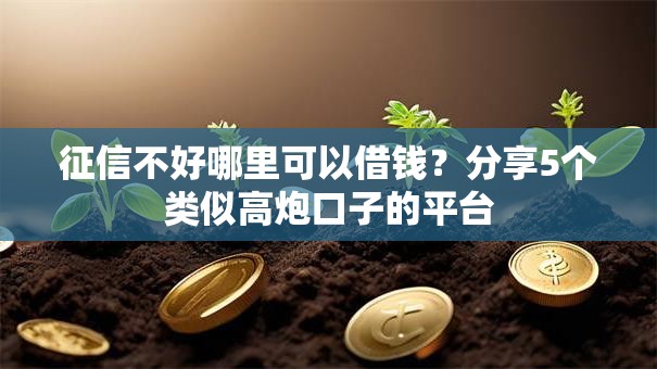 征信不好哪里可以借钱？分享5个类似高炮口子的平台